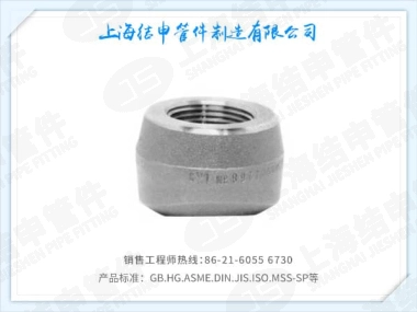 螺纹支管座(不锈钢)