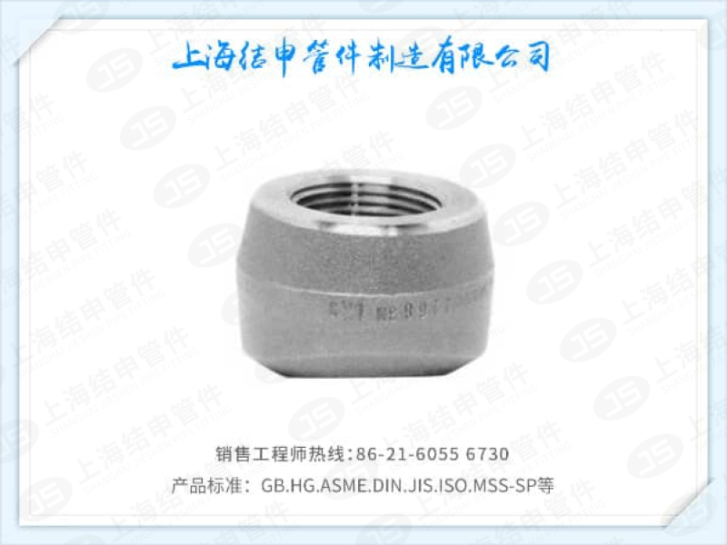 螺纹支管座(不锈钢)