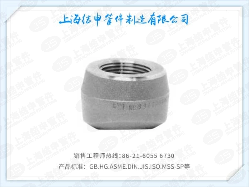 螺纹支管座(不锈钢)