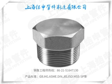 六角堵头(不锈钢)