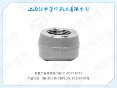 螺纹支管座(不锈钢)