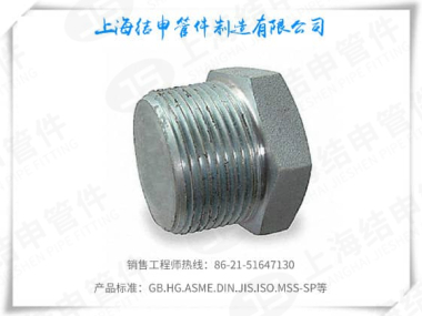 镀锌六角堵头(冷镀/热镀)